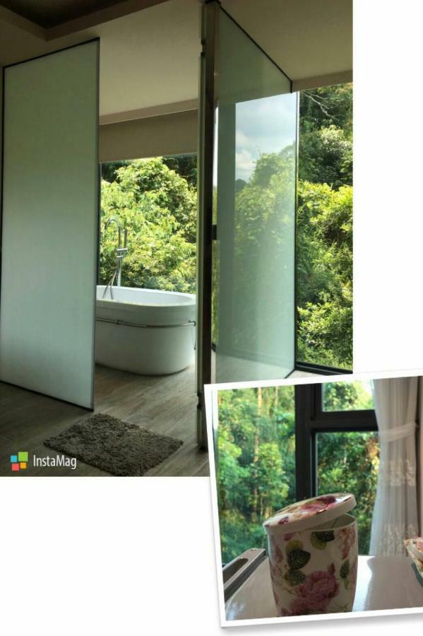 Spring Land Villa & 白舍青丘 Puli Bagian luar foto